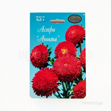 Астра Помпонная красная Анита 20*1