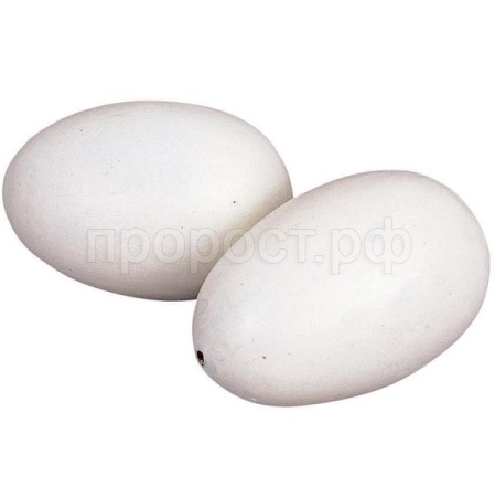 Инструмент Яйцо гусиное муляж 10шт/Китай