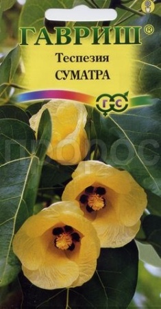 Теспезия Суматра 3 шт. 