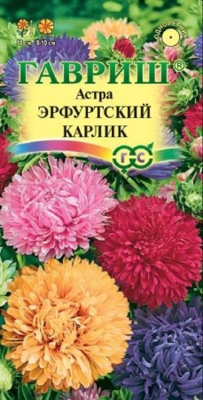 Астра Эрфуртский карлик смесь 0,3г