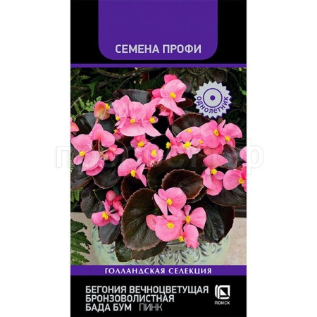 Бегония вечноцветущая бронзоволистная Бада Бум Пинк 15шт Бегония вечноцветущая бронзоволистная Бада Бум Пинк 15шт