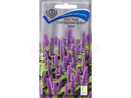 Агастахе Виват Синий 10шт