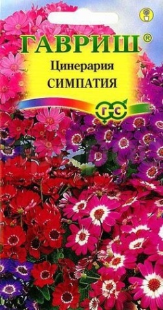 Цинерария Симпатия гибрид.цветущ. 8шт