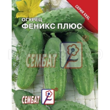 Огурец Феникс плюс 5 г  