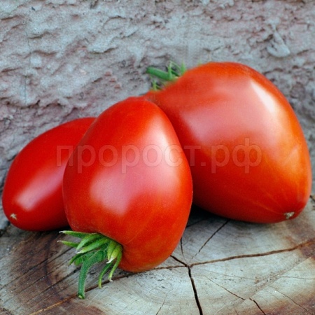 Гавриш Фермерская Томат Алиса 5 гр