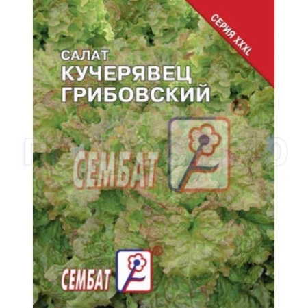 Салат Кучерявец грибовский 5г XXXL